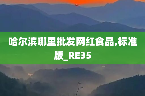 哈尔滨哪里批发网红食品,标准版_RE35