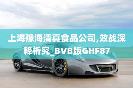 上海豫海清真食品公司,效战深释析究_BVB版GHF87