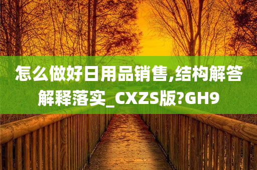 怎么做好日用品销售,结构解答解释落实_CXZS版?GH9