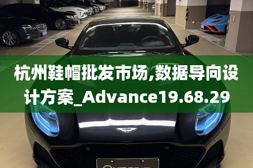 杭州鞋帽批发市场,数据导向设计方案_Advance19.68.29