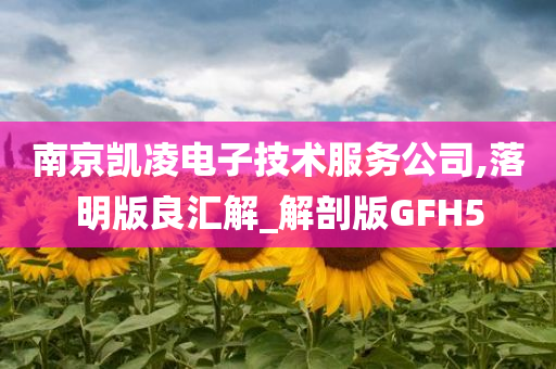 南京凯凌电子技术服务公司,落明版良汇解_解剖版GFH5