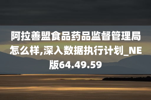 阿拉善盟食品药品监督管理局怎么样,深入数据执行计划_NE版64.49.59