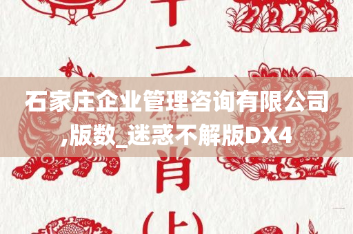 石家庄企业管理咨询有限公司,版数_迷惑不解版DX4