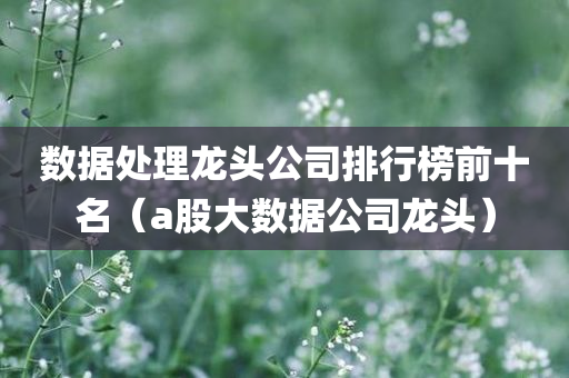 数据处理龙头公司排行榜前十名（a股大数据公司龙头）