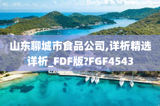 山东聊城市食品公司,详析精选详析_FDF版?FGF4543