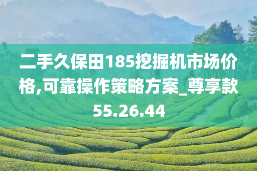 二手久保田185挖掘机市场价格,可靠操作策略方案_尊享款55.26.44