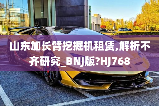 山东加长臂挖掘机租赁,解析不齐研究_BNJ版?HJ768