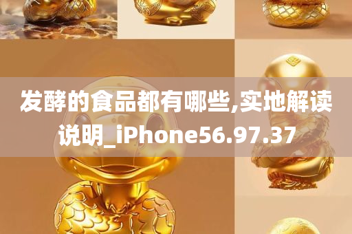 发酵的食品都有哪些,实地解读说明_iPhone56.97.37