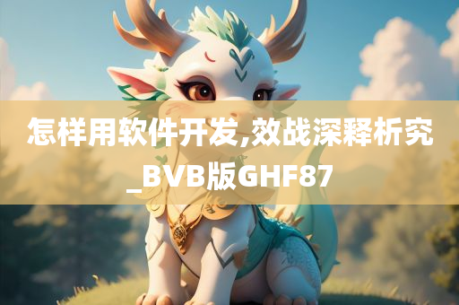 怎样用软件开发,效战深释析究_BVB版GHF87