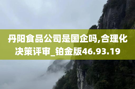 丹阳食品公司是国企吗,合理化决策评审_铂金版46.93.19