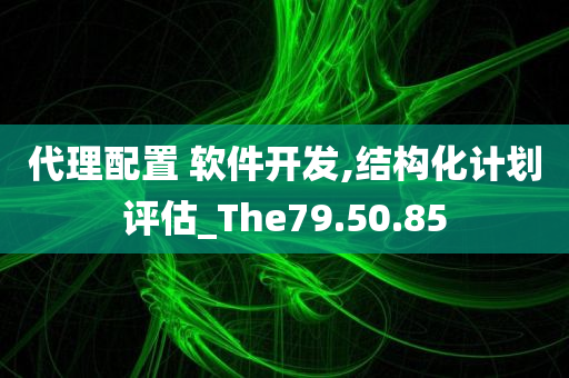 代理配置 软件开发,结构化计划评估_The79.50.85