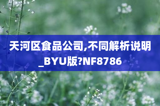 天河区食品公司,不同解析说明_BYU版?NF8786