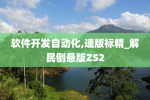 软件开发自动化,速版标精_解民倒悬版ZS2