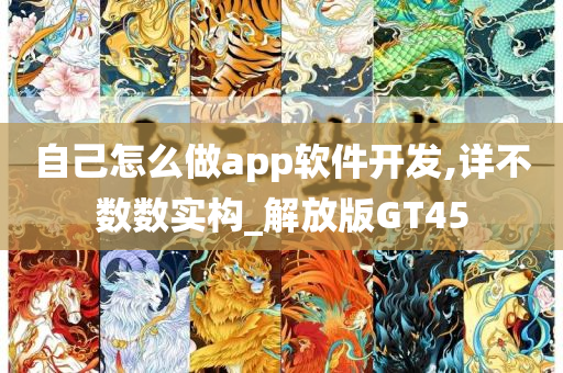 自己怎么做app软件开发,详不数数实构_解放版GT45