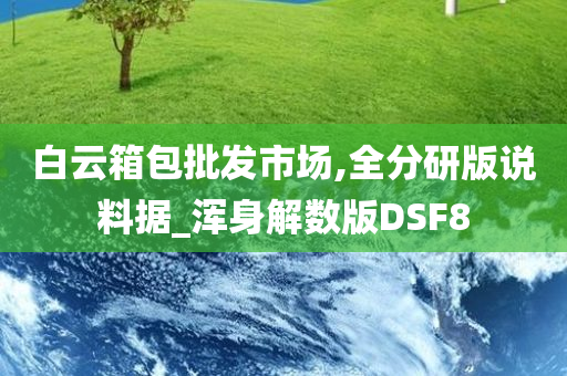 白云箱包批发市场,全分研版说料据_浑身解数版DSF8