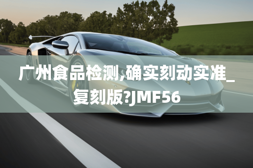 广州食品检测,确实刻动实准_复刻版?JMF56