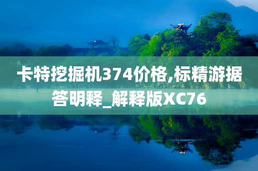 卡特挖掘机374价格,标精游据答明释_解释版XC76