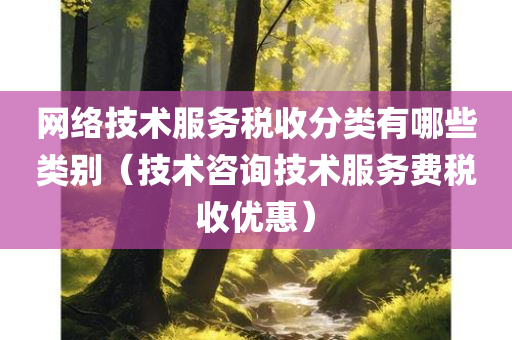 网络技术服务税收分类有哪些类别（技术咨询技术服务费税收优惠）