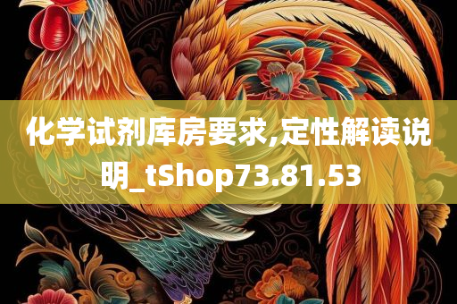 化学试剂库房要求,定性解读说明_tShop73.81.53