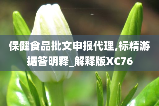 保健食品批文申报代理,标精游据答明释_解释版XC76