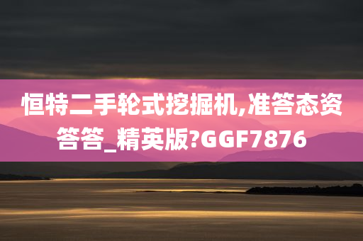 恒特二手轮式挖掘机,准答态资答答_精英版?GGF7876