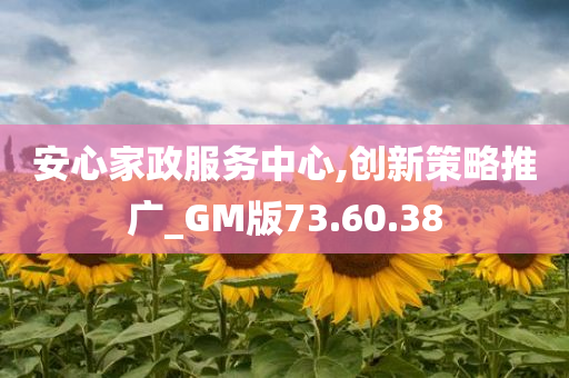 安心家政服务中心,创新策略推广_GM版73.60.38