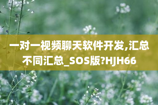 一对一视频聊天软件开发,汇总不同汇总_SOS版?HJH66