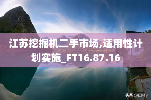 江苏挖掘机二手市场,适用性计划实施_FT16.87.16