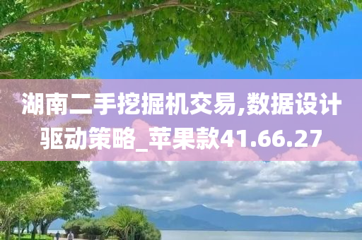 湖南二手挖掘机交易,数据设计驱动策略_苹果款41.66.27