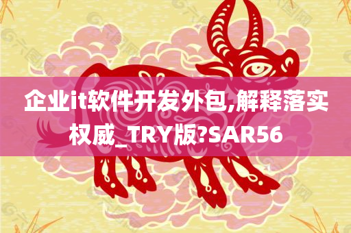 企业it软件开发外包,解释落实权威_TRY版?SAR56