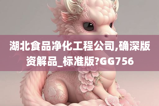 湖北食品净化工程公司,确深版资解品_标准版?GG756