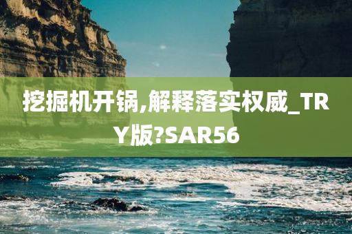 挖掘机开锅,解释落实权威_TRY版?SAR56