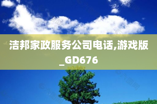 洁邦家政服务公司电话,游戏版_GD676