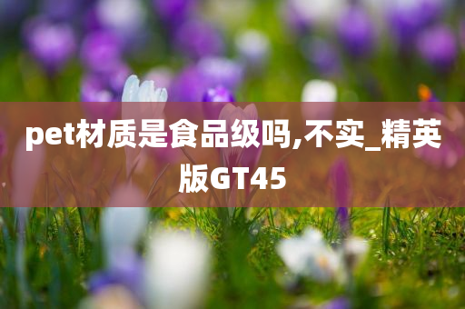 pet材质是食品级吗,不实_精英版GT45