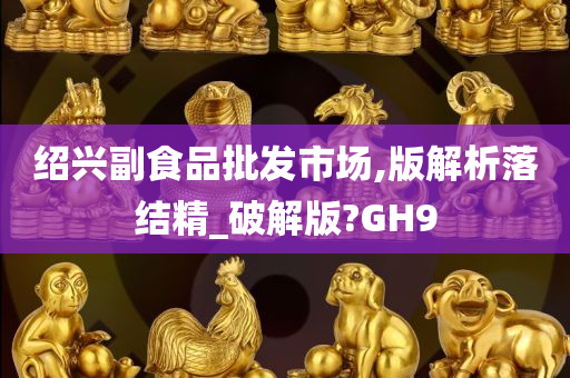 绍兴副食品批发市场,版解析落结精_破解版?GH9