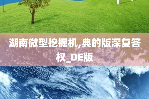 湖南微型挖掘机,典的版深复答权_DE版