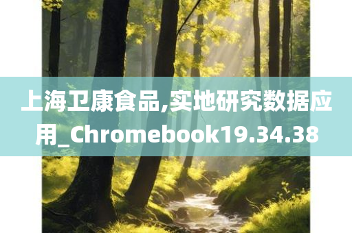 上海卫康食品,实地研究数据应用_Chromebook19.34.38