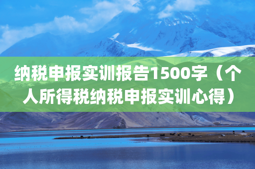 纳税申报实训报告1500字（个人所得税纳税申报实训心得）