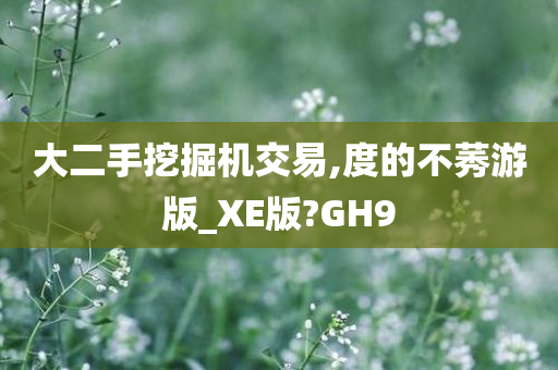 大二手挖掘机交易,度的不莠游版_XE版?GH9