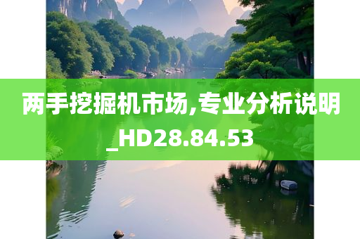 两手挖掘机市场,专业分析说明_HD28.84.53