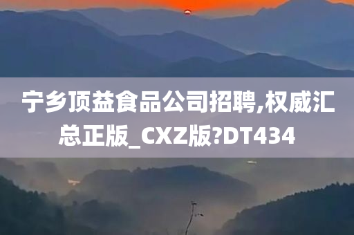 宁乡顶益食品公司招聘,权威汇总正版_CXZ版?DT434