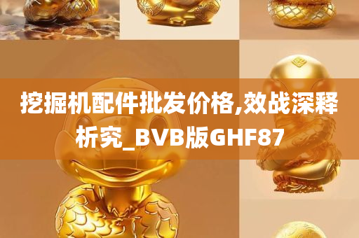 挖掘机配件批发价格,效战深释析究_BVB版GHF87