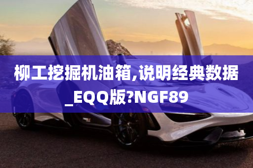 柳工挖掘机油箱,说明经典数据_EQQ版?NGF89