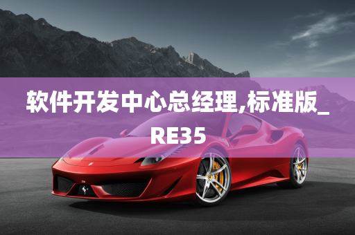 软件开发中心总经理,标准版_RE35