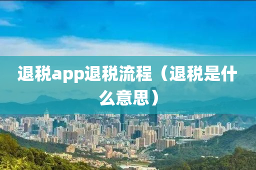 退税app退税流程（退税是什么意思）