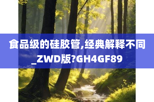 食品级的硅胶管,经典解释不同_ZWD版?GH4GF89