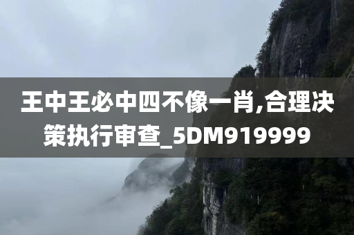 王中王必中四不像一肖,合理决策执行审查_5DM919999