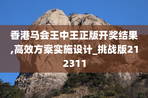 香港马会王中王正版开奖结果,高效方案实施设计_挑战版212311