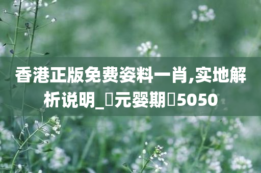 香港正版免费姿料一肖,实地解析说明_‌元婴期‌5050