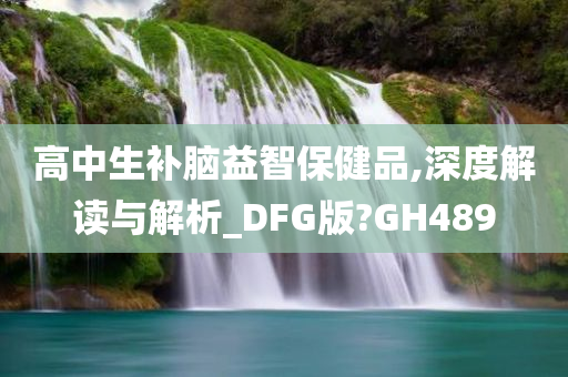 高中生补脑益智保健品,深度解读与解析_DFG版?GH489